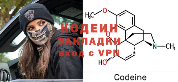 индика Балабаново