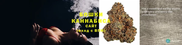 индика Балабаново