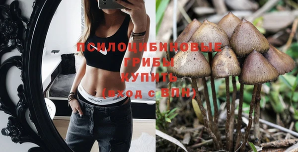 стаф Баксан