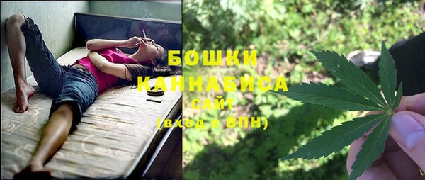 стаф Баксан