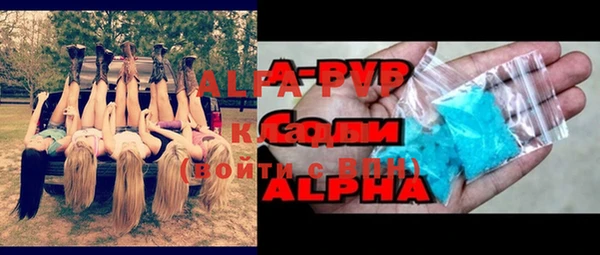 индика Балабаново