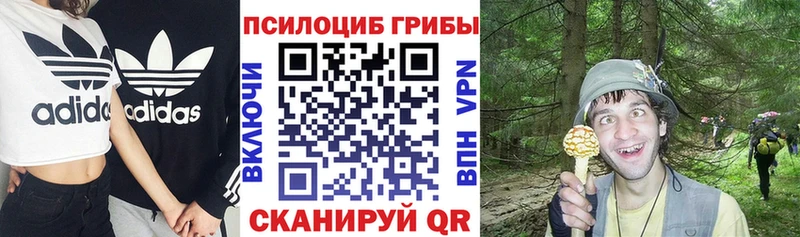 Псилоцибиновые грибы Magic Shrooms  блэк спрут как зайти  Ладушкин 